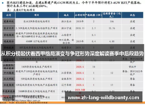 从积分榜起伏看西甲格局演变与争冠形势深度解读赛季中后段趋势